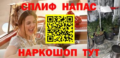прущие грибы Заволжье
