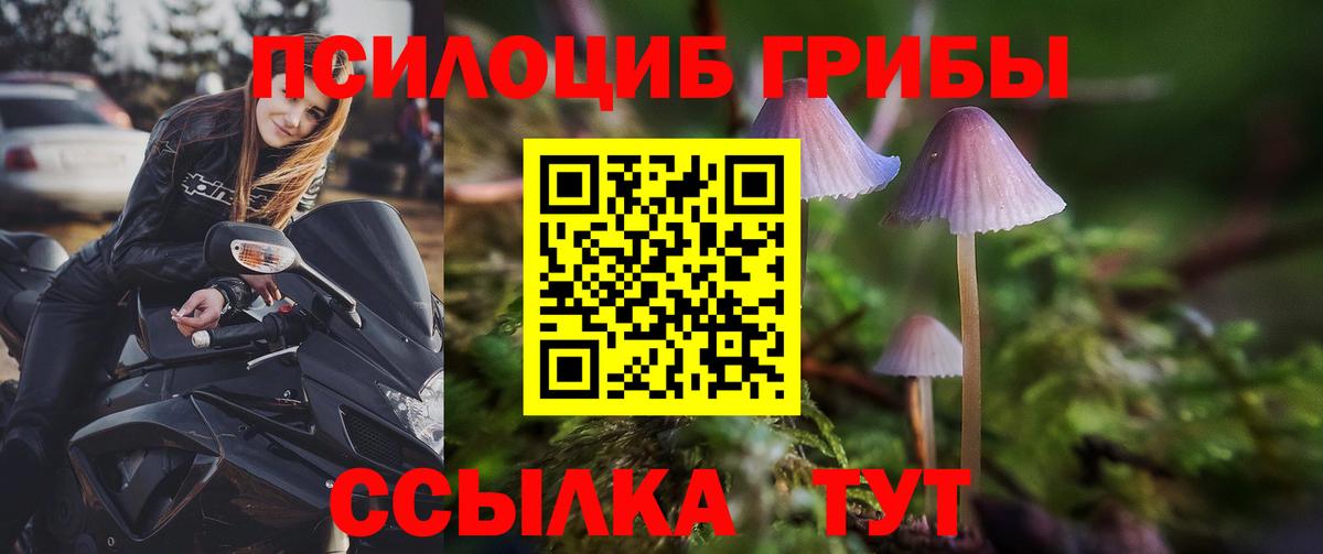 Псилоцибиновые грибы мухоморы Миасс
